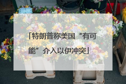 特朗普称美国“有可能”介入以伊冲突