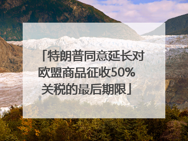 特朗普同意延长对欧盟商品征收50%关税的最后期限