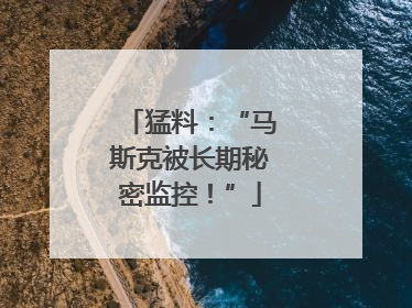 猛料：“马斯克被长期秘密监控！”
