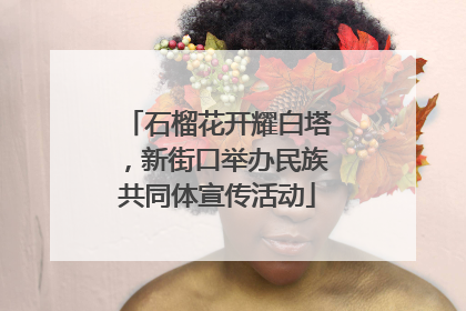石榴花开耀白塔，新街口举办民族共同体宣传活动