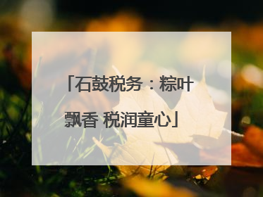 石鼓税务：粽叶飘香 税润童心