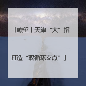 瞭望丨天津“大”招打造“双循环支点”