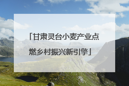 甘肃灵台小麦产业点燃乡村振兴新引擎