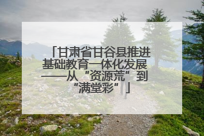 甘肃省甘谷县推进基础教育一体化发展——从“资源荒”到“满堂彩”