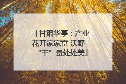 甘肃华亭：产业花开家家富 沃野“丰”景处处美