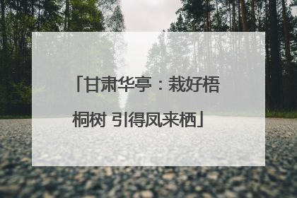 甘肃华亭：栽好梧桐树 引得凤来栖