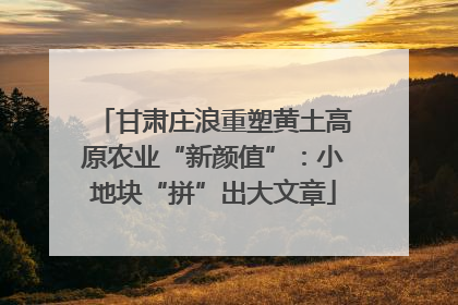 甘肃庄浪重塑黄土高原农业“新颜值”：小地块“拼”出大文章