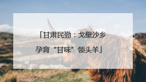 甘肃民勤：戈壁沙乡孕育“甘味”领头羊