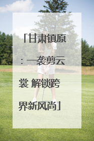 甘肃镇原：一袭剪云裳 解锁跨界新风尚