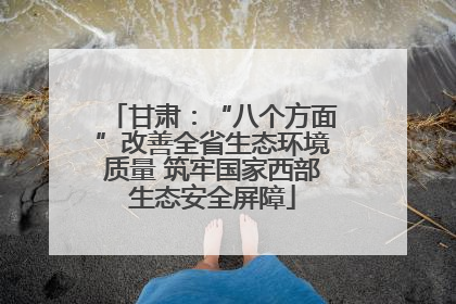 甘肃：“八个方面”改善全省生态环境质量 筑牢国家西部生态安全屏障