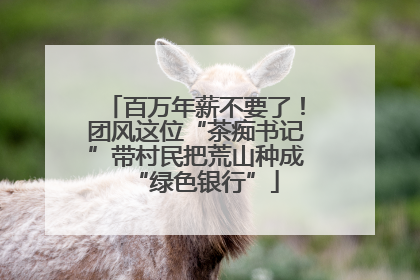 百万年薪不要了！团风这位“茶痴书记”带村民把荒山种成“绿色银行”