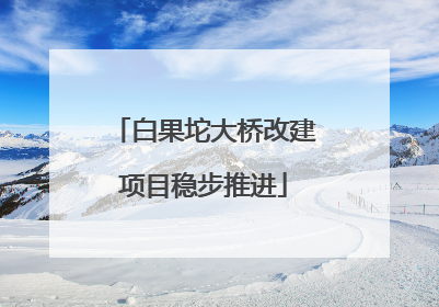白果坨大桥改建项目稳步推进