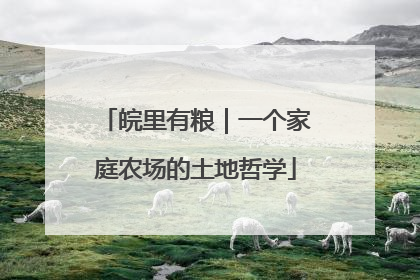 皖里有粮｜一个家庭农场的土地哲学