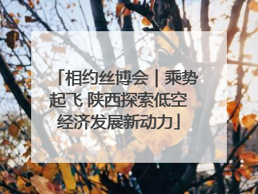 相约丝博会｜乘势起飞 陕西探索低空经济发展新动力