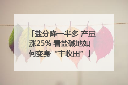 盐分降一半多 产量涨25% 看盐碱地如何变身“丰收田”