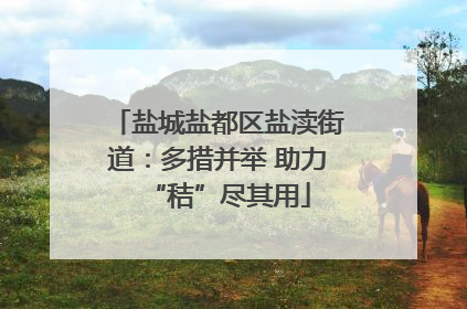 盐城盐都区盐渎街道：多措并举 助力“秸”尽其用