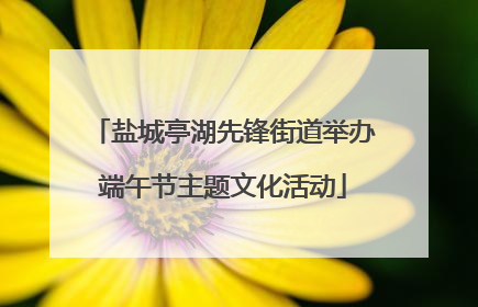 盐城亭湖先锋街道举办端午节主题文化活动