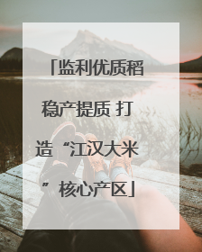 监利优质稻稳产提质 打造“江汉大米”核心产区