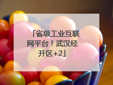 省级工业互联网平台！武汉经开区+2