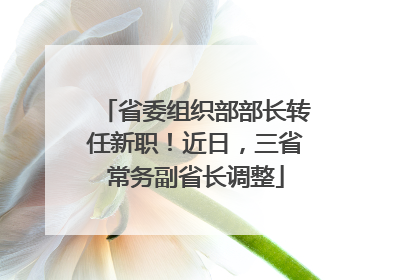 省委组织部部长转任新职！近日，三省常务副省长调整