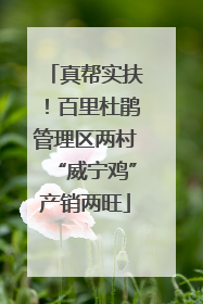 真帮实扶！百里杜鹃管理区两村“威宁鸡”产销两旺