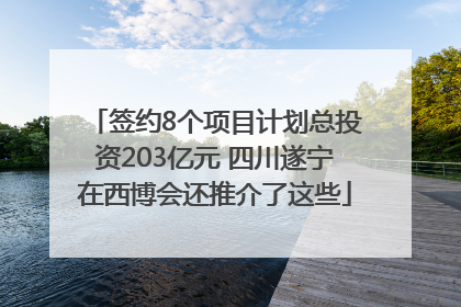 签约8个项目计划总投资203亿元 四川遂宁在西博会还推介了这些