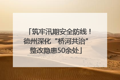 筑牢汛期安全防线！德州深化“桥河共治”整改隐患50余处