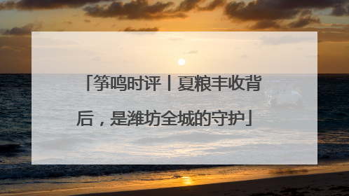 筝鸣时评丨夏粮丰收背后，是潍坊全城的守护