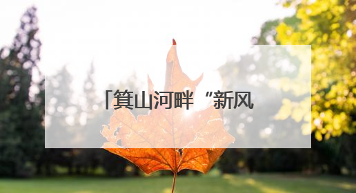 箕山河畔“新风”吹——探访“全国文明村”鄄城县凤凰镇酒店张村