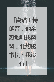 离谱！特朗普：他亲热地叫我爸爸，北约秘书长：我没有