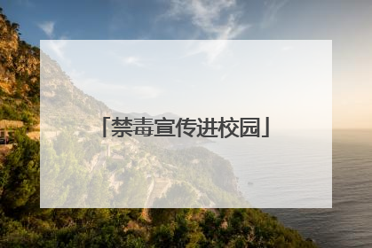 禁毒宣传进校园