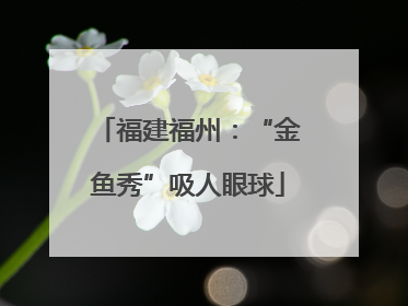 福建福州：“金鱼秀”吸人眼球