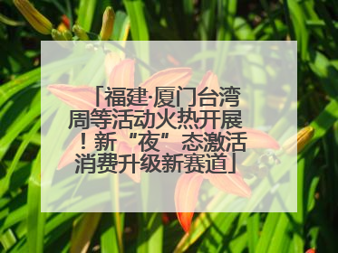 福建·厦门台湾周等活动火热开展！新“夜”态激活消费升级新赛道