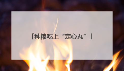 种粮吃上“定心丸”