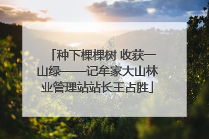 种下棵棵树 收获一山绿——记牟家大山林业管理站站长王占胜