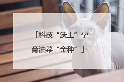 科技“沃土”孕育油菜“金种”