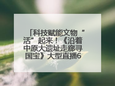 科技赋能文物“活”起来！《沿着中原大遗址走廊寻国宝》大型直播6月14日启幕