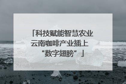 科技赋能智慧农业 云南咖啡产业插上“数字翅膀”