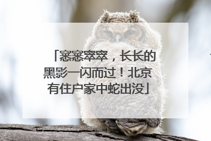 窸窸窣窣，长长的黑影一闪而过！北京有住户家中蛇出没