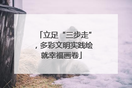 立足“三步走”，多彩文明实践绘就幸福画卷