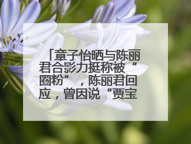 章子怡晒与陈丽君合影力挺称被“圈粉”，陈丽君回应，曾因说“贾宝玉是长子长孙”惹争议