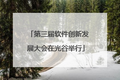 第三届软件创新发展大会在光谷举行