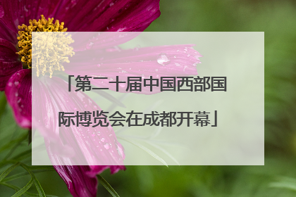 第二十届中国西部国际博览会在成都开幕