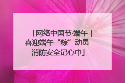 网络中国节·端午｜喜迎端午“粽”动员 消防安全记心中