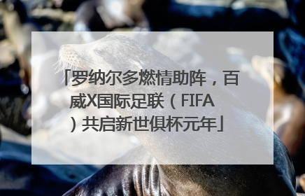 罗纳尔多燃情助阵，百威X国际足联（FIFA）共启新世俱杯元年