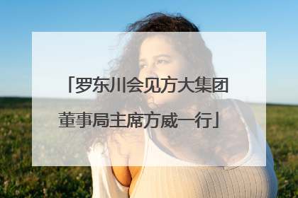 罗东川会见方大集团董事局主席方威一行