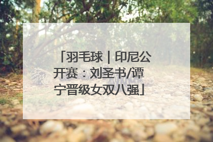 羽毛球｜印尼公开赛：刘圣书/谭宁晋级女双八强