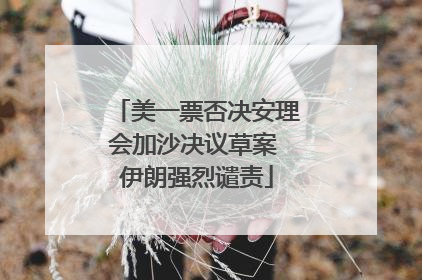 美一票否决安理会加沙决议草案 伊朗强烈谴责