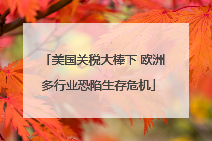 美国关税大棒下 欧洲多行业恐陷生存危机