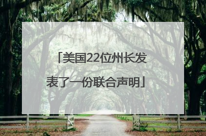美国22位州长发表了一份联合声明